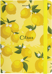 Блокнот «Lemons» - Фото 5