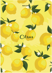 Блокнот «Lemons» - Фото 6