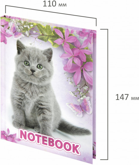 Блокнот «Котята»