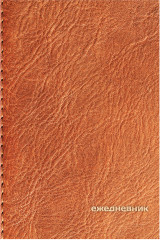 Ежедневник «Кожа» - Фото 1