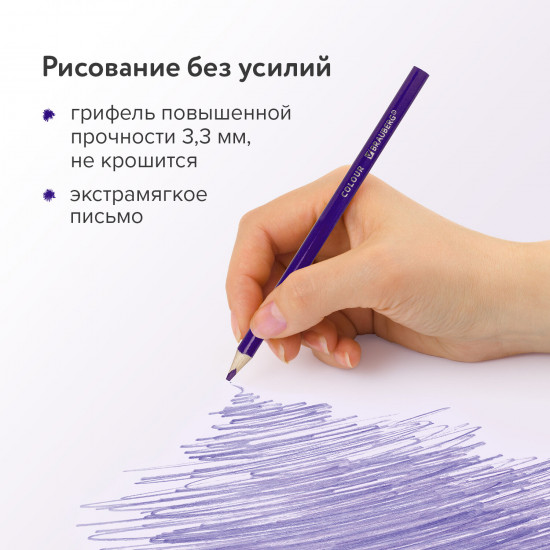 Набор карандашей цветных
