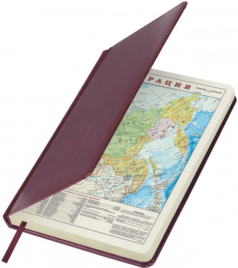 Ежедневник