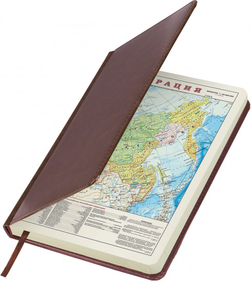 Ежедневник