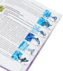 Закладки для книг магнитные с высечкой «Marine life» - Фото 2