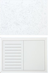 Картина по номерам «Лучшие друзья» - Фото 3