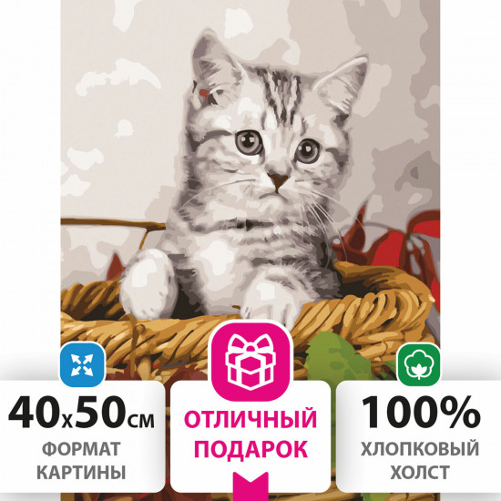 Картина по номерам «Котёнок»