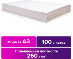 Картон для подшивки документов - Фото 1