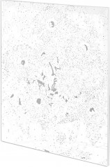 Картина по номерам «Подсолнухи» - Фото 4