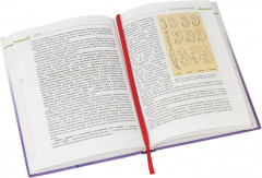 Закладка-ляссе для книг «Радуга» - Фото 4