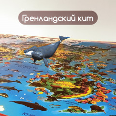 Карта мира интерактивная «Животный и растительный мир» - Фото 3