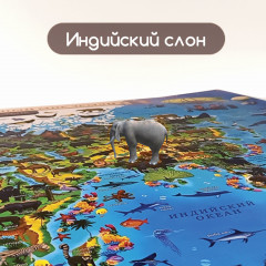 Карта мира интерактивная «Животный и растительный мир» - Фото 7