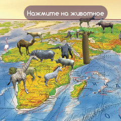 Карта мира физическая интерактивная - Фото 4