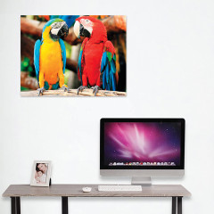 Мозаика алмазная «Попугаи» - Фото 7