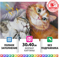 Мозаика алмазная «Тёплая дружба» - Фото 1