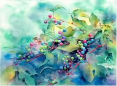 Набор красок акварельных - Фото 5