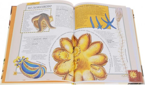 Животные. Полная энциклопедия