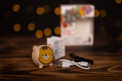 Миниколонка беспроводная «Дарынды бала әлемі» - Фото 12