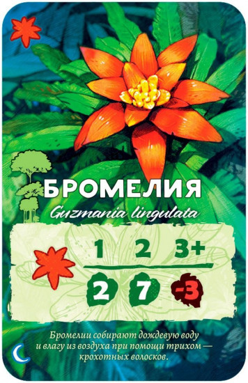 Игра настольная «Амазония»