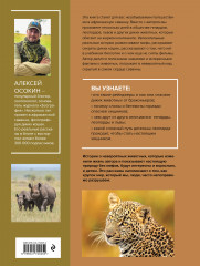 Мир диких животных без мифов. Невероятные фото-истории о жизни хищников саванны - Фото 1