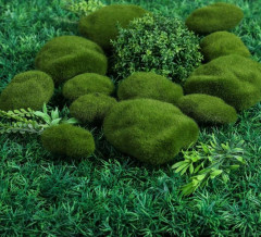 Мох искусственный «Камни» - Фото 2