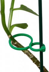Набор колец для крепления растений к опоре - Фото 1