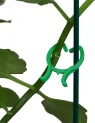 Набор колец для крепления растений - Фото 1