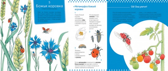 Живая природа. За городом