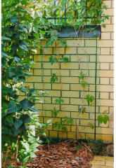 Сетка садовая - Фото 2