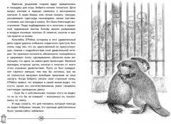 Приключения Саджо и её бобров - Фото 4