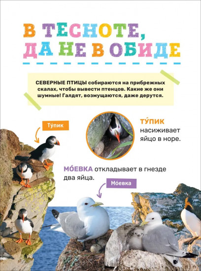 Животные