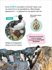 Животные - Фото 4