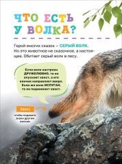 Животные - Фото 5