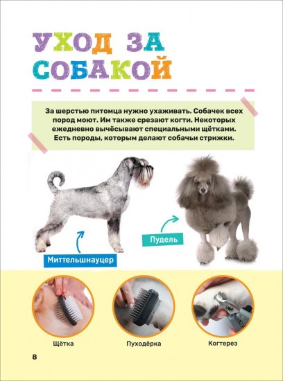 Домашние питомцы