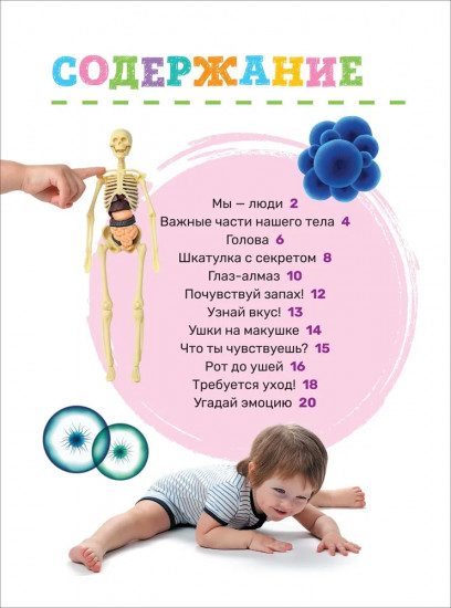 Тело человека