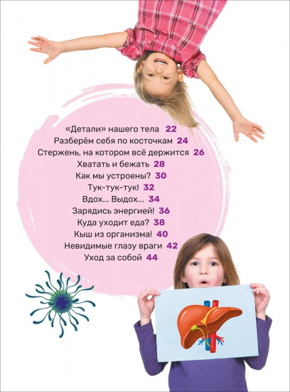 Тело человека