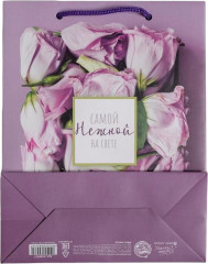 Пакет подарочный «Самой Нежной на свете» - Фото 3