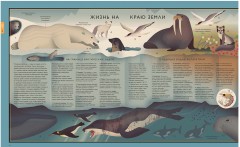 Мир природы. Иллюстрированный сборник удивительных фактов - Фото 6