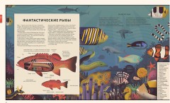 Мир природы. Иллюстрированный сборник удивительных фактов - Фото 2