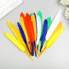 Набор перьев декоративных - Фото 1