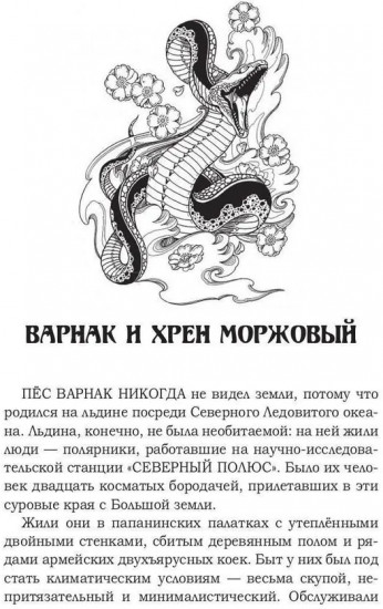 Беркут