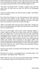 The Jungle Book - Фото 3