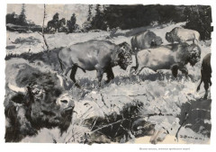 Виннету. Сын вождя - Фото 4