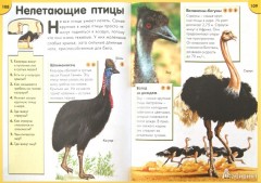 Обо всем на свете в вопросах и ответах. Энциклопедия - Фото 1