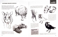 Рисуем животных - Фото 1