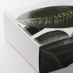 Коробка складная «Тропики» - Фото 1