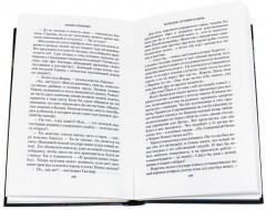 Волкодав. Истовик-камень - Фото 2