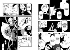 Стальной Алхимик. Книга 8 - Фото 2