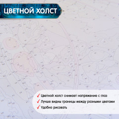 Картина по номерам «Геншин. Лиза» - Фото 5