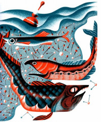 До Бога. Познавательная книга для детей и взрослых - Фото 2