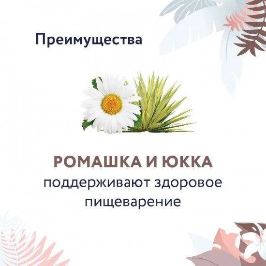 Корм для собак сухой